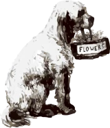 Dog with flowers